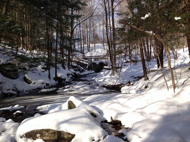 www.catskills-mountains.jpg